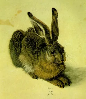 A Young Hare by Albrecht Duerer - Oil Painting Reproduction