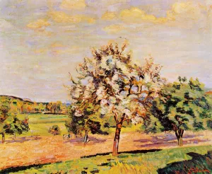 Apple Trees in Bloom by Armand Guillaumin - Oil Painting Reproduction