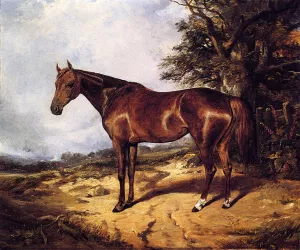 Thoroughbred by Arthur Fitzwilliam Tait - Oil Painting Reproduction