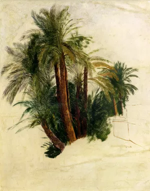 Study of Palm Trees by Edward Lear - Oil Painting Reproduction