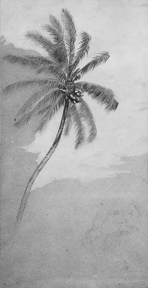 Palm Tree Oil painting by Elihu Vedder
