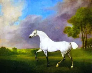 A Grey Horse by George Stubbs - Oil Painting Reproduction