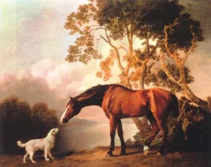 Bay Horse and White Dog by George Stubbs - Oil Painting Reproduction