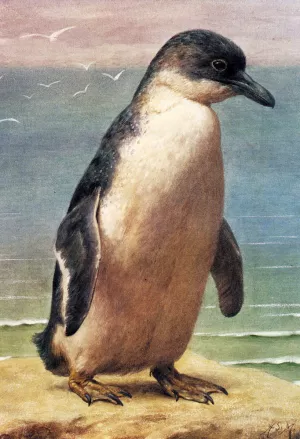 Study of a Penguin by Henry Stacy Marks - Oil Painting Reproduction