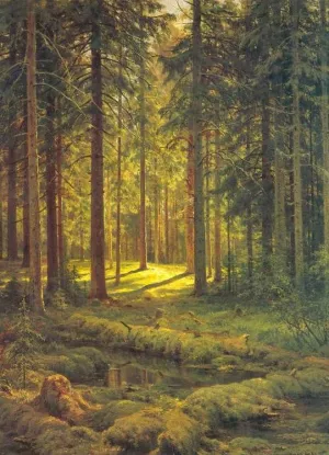 A Coniferous Forest. Sunny Day by Ivan Ivanovich Shishkin - Oil Painting Reproduction