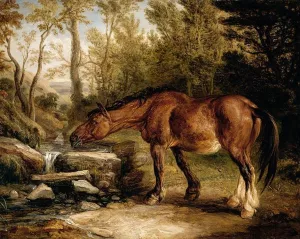 A Horse Drinking at a Stream by James Ward - Oil Painting Reproduction