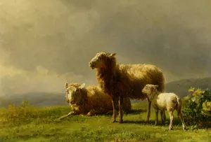 Sheep in a Meadow by Jan Bedijs Tom - Oil Painting Reproduction