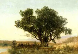 The Front Range, Colorado by John Frederick Kensett - Oil Painting Reproduction