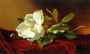 A Magnolia on Red Velvet by Martin Johnson Heade - Oil Painting Reproduction