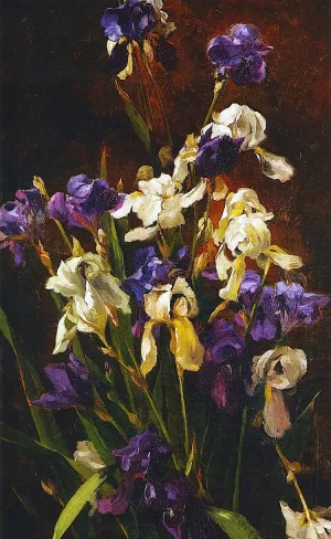 Irises by Mathias J Alten - Oil Painting Reproduction