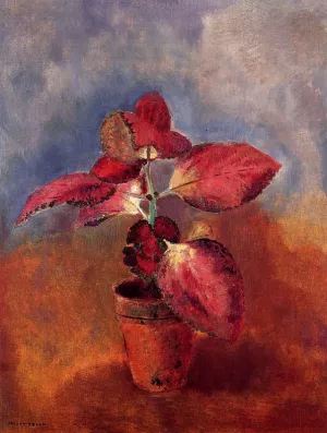 Begonia in a Pot Oil painting by Odilon Redon