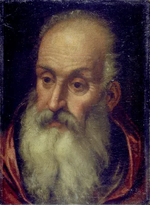 Head of an Old Bearded Man by Paolo Veronese - Oil Painting Reproduction