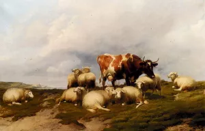 A Cow And Sheep On The Cliffs by Thomas Sidney Cooper - Oil Painting Reproduction