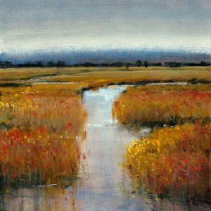 Marsh Land II by Tim O'Toole Oil Painting