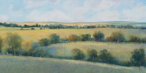 Valley Field II Oil Painting by Tim O'Toole - Contemporary