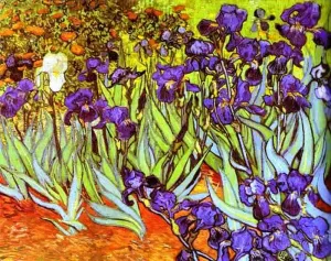 Irises 1889 by Vincent van Gogh - Oil Painting Reproduction