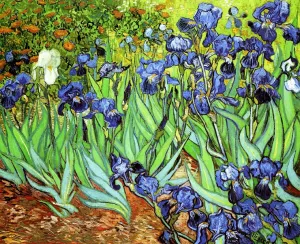 Irises II by Vincent van Gogh - Oil Painting Reproduction