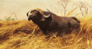 An African Buffalo by Wilhelm Kuhnert - Oil Painting Reproduction