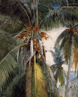 Coconut Palms, Key West by Winslow Homer - Oil Painting Reproduction
