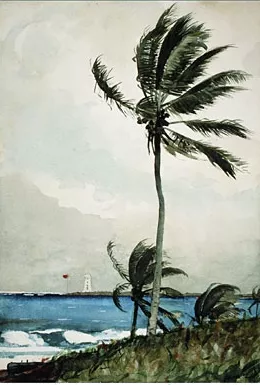 Palm Tree, Nassau by Winslow Homer - Oil Painting Reproduction